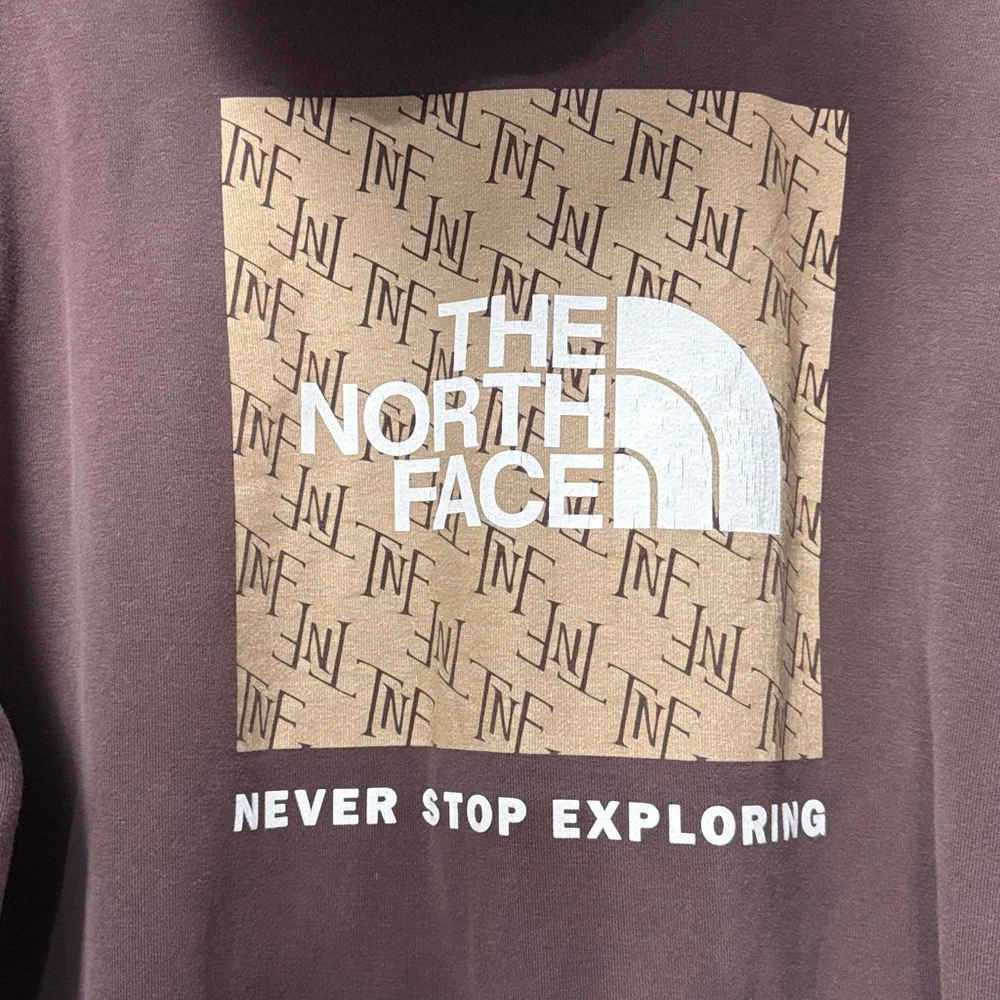 The North Face Never Stop Exploring Hoodie